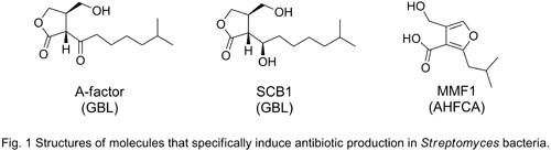 antibiotic production inducers