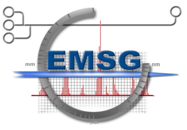 EMSG logo