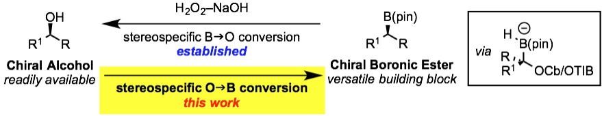 tereospecific conversion of alcohols into pinacol boronic esters using lithiation–borylation methodology with pinacolborane