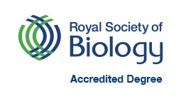 RSB accredited degree