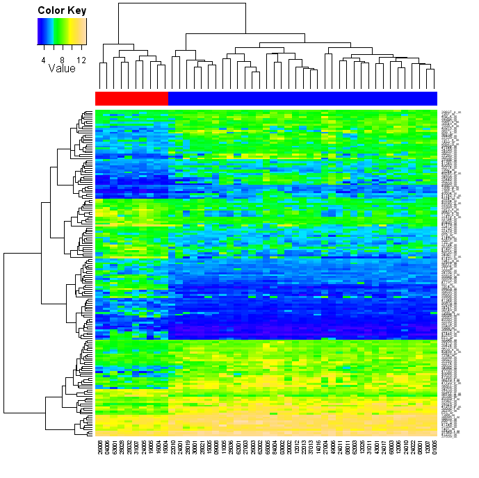 [Heatmap picture, topographical colours WITHOUT scaling, with patient type colour bar and color key]