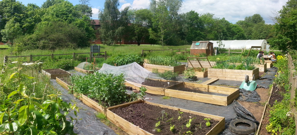 Photo of the campus allotment