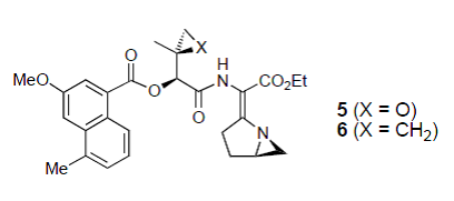 A Synthetic Azinomycin Analoguewith Demonstrated DNACross-Linking Activity