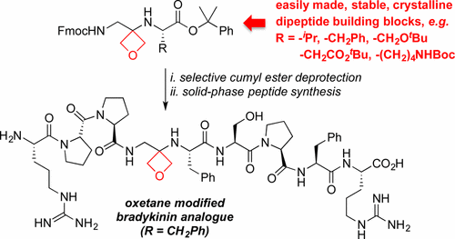 Solid-Phase Synthesis of Oxetane Modified Peptides