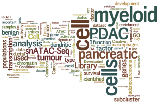 Wordle pancreatic cancer paper