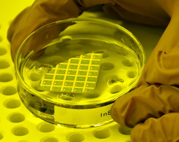 Semiconductor wafer fragment in petri dish