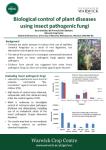 Biological Control of Plant Diseases using Insect Pathogenic Fungi