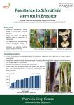 Resistance to Sclerotinia Stem Rot in Brassica