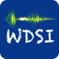 WDSI logo