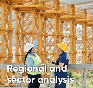 Regional and sector analysis