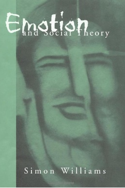 Emotions and social theory