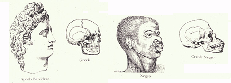 Illustration from Josiah Nott, Types of Mankind [Philadelphia, 1854]