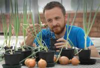 Dr Andrew Taylor Warwick Crop Centre University of Warwick