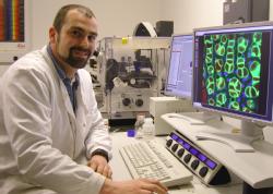 Dr Stefano Gattolin, School of Life Sciences University of  Warwick