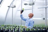 A researcher in the new Phytobiology Facility at the University of Warwick