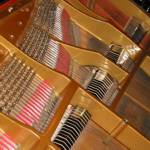 Picture of the inside of a grand piano